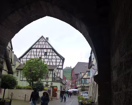 P1190071 Ribeauvillé et le château Saint-Ulric