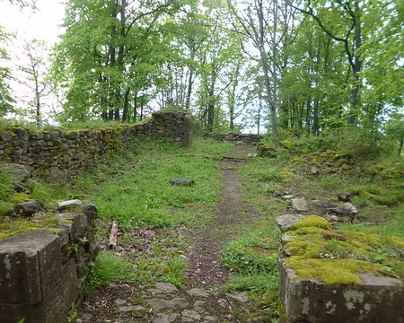 P1190073 Ruines du couvent de Sylo