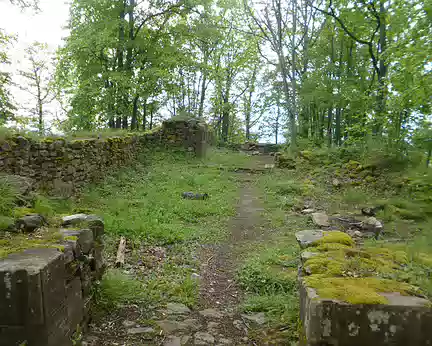 P1190073 Ruines du couvent de Sylo