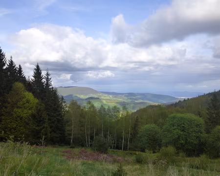 P1190086 Vue depuis l'auberge de l'Etang du Devin sur la plaine d'Alsace et la Forêt Noire