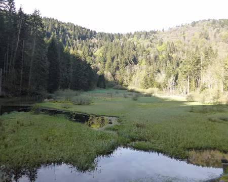 P1190091 ...l'étang du Devin (alt. 926 m.)