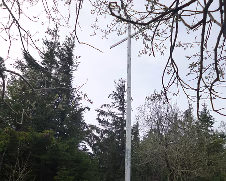 P1190099 Croix dans le massif de la Tête des Faux (alt. 1208 m.)