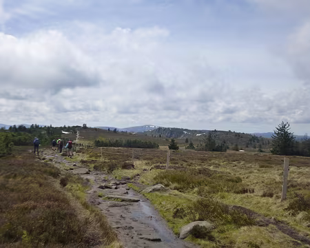 P1190112 Gazon du Faing