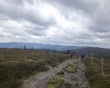 P1190118 Sur les crêtes