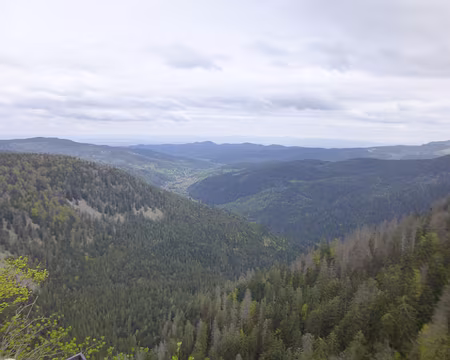 P1190125 La vallée de Munster depuis le belvédère de la Petite Fecht (alt. 1180 m.)