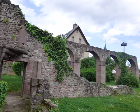 P1190142 l'abbaye bénédictine Saint-Grégoire de Munster...