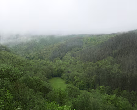 P1170401 Vallée du Ninglinspo depuis le point de vue Drouet.