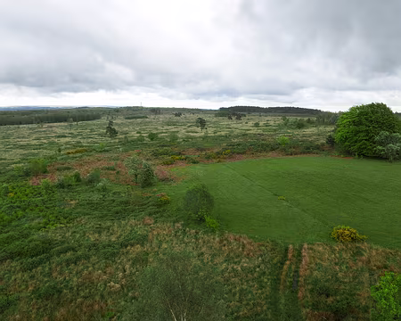 P1170492 Vue sur la Fagne de Malchamps depuis la tour panoramique.