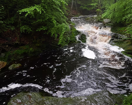 P1170522 Cascade Marie-Henriette sur la Hoëgne.