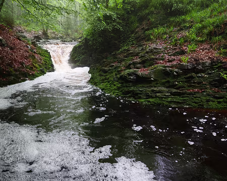 P1170527 Cascade Léopold II, fin de la promenade en 1899.