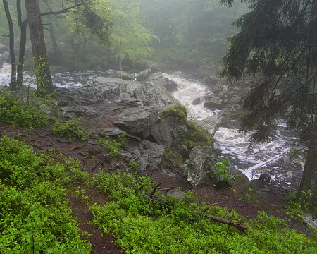 P1170553 La Hoëgne entre les Cascatelles et le Pont du Centenaire.