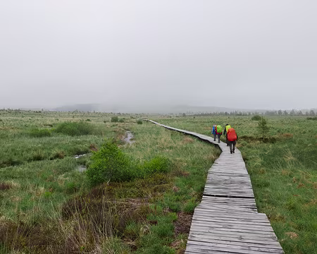 P1170604 Sur les caillebotis le long de la Helle-Hill.