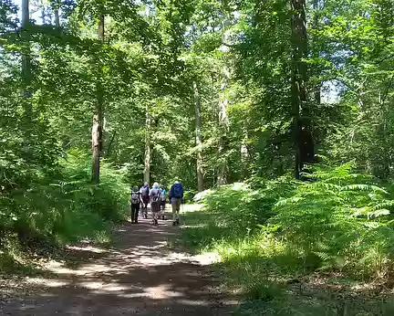 001 Départ de Bois-le-Roi (77) pour une boucle de 20 km dans la forêt de Fontainebleau jusqu’à Barbizon