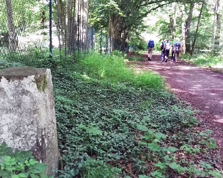 037 Départ de Barbizon par le chemin du Bornage