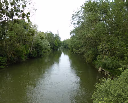 P1190280 Le Loing à Dordives