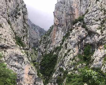 IMG_5464 Les gorges du Rio Cares