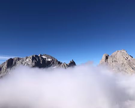 IMG_5491 …et reviennent