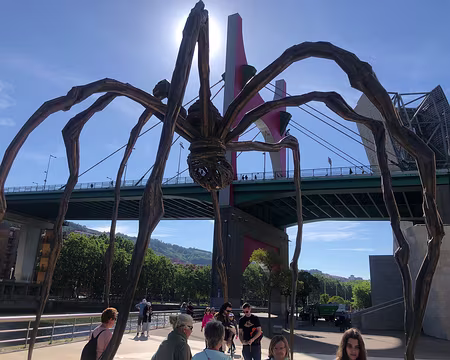 IMG_5569 L'araignée du musée