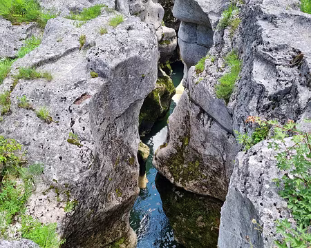001 La Valserine vue du pont des Oules