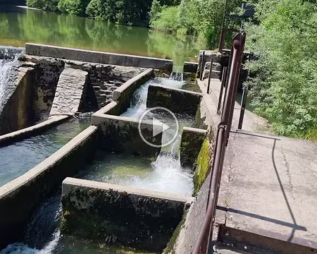 005 Échelle à poissons