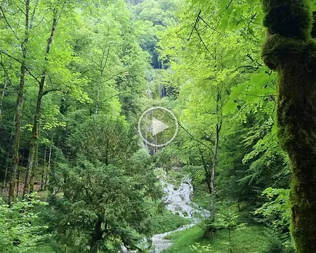 055 Cascade des Tuffes se jetant dans le Hérisson
