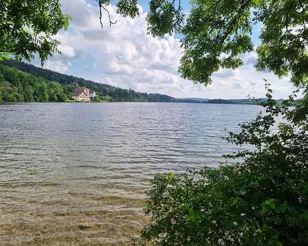 061 Le lac de l'Abbaye est un lac glaciaire situé à près de 900 m d'altitude, à la limite du Haut-Jura