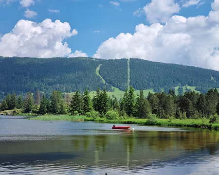 081 Au fond, le massif du Noirmont dont l'on devine la remontée mécanique et l'une des pistes est à cheval entre la France et la Suisse et culmine à 1540 m. Son...