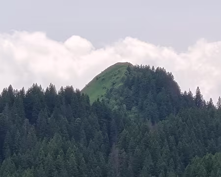 090 Le sommet pointu du Crêt de Chalam (1545 m) depuis la Borne au Lion