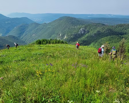098 Début de la descente du Crêt de Chalam