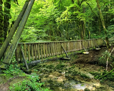 106 Passerelle pour la Cascade des Combes