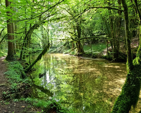 111 Ruisseau de l'Abîme