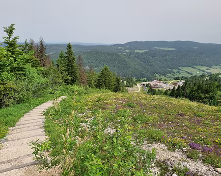 113 Sentier de montée au Petit Montrond bien aménagé avec beaucoup de marches. Il évite les pistes de ski et la descente des vététistes