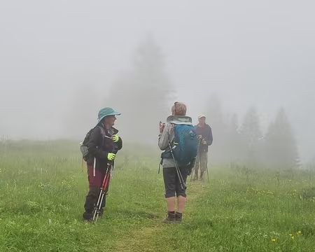 120 Dans le brouillard, sur la déviation du GR 9 très bien balisée et encore en très bon état