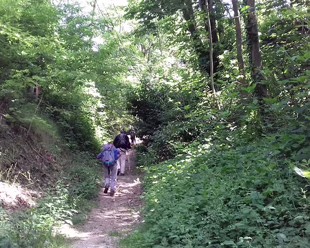 016 Montée sur le plateau par la rue du sépulcre à la sortie du village