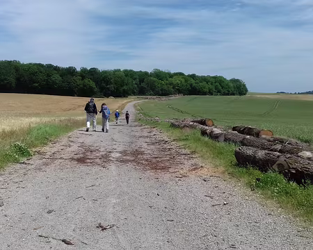 022 Le GR 1 dans la plaine cultivée au sud du bois de Penchard