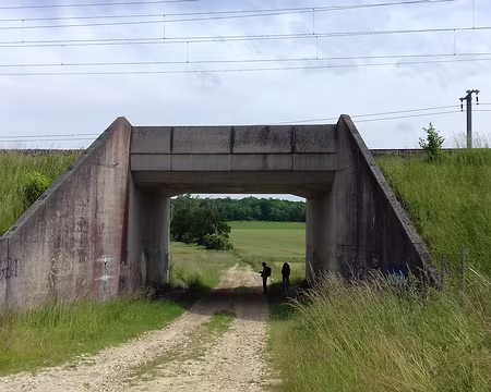 035 Le chemin de Penchard (GR 1) et le tunnel sous la ligne ferroviaire LGV Est