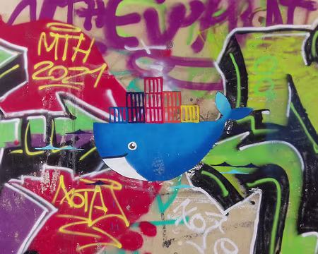 036 La baleine bleue