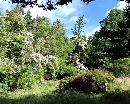 002 Le jardin sauvage de l’Île verte. Cette propriété a été acquise par le département en 2003