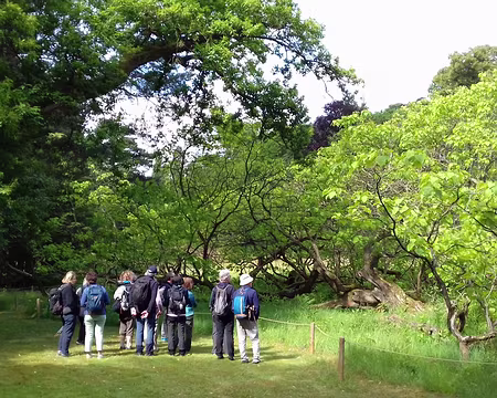 011 Dans le parc, le groupe et le catalpa