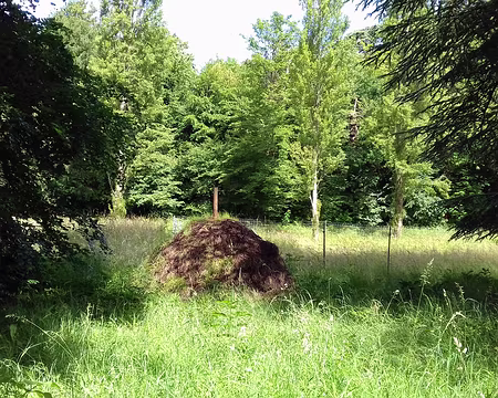 013 Meule de foin dans la prairie