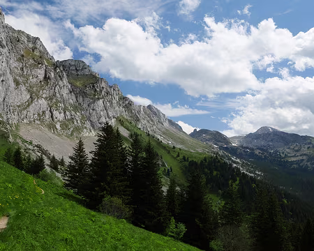 P1170719 Sur le sentier Péronnard (après la jonction avec le sentier du Col Vert) en direction de la Grande Moucherolle.