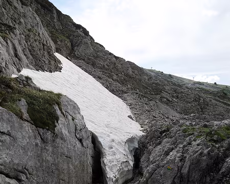 P1170727 Dernière portion de GTV (Grande Traversée du Vercors) avant de bifurquer hors balisage pour le Pré de l'Achard.