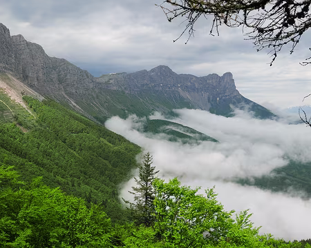 P1170790 Dernier regard vers le Nord avant de franchir la croupe descendant du Rocher du Playnet.