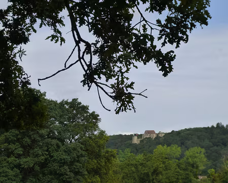 P1190367 Château de Chevreuse