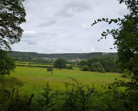 P1190368 Chevreuse et son château