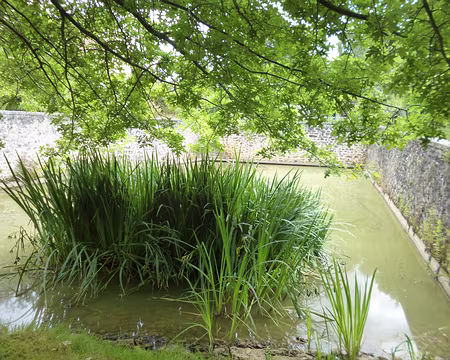 P1190372 Abreuvoir de Herbouvilliers