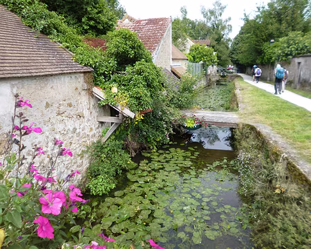 P1190390 L'Yvette à Chevreuse