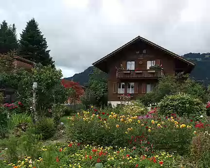 001 Interlaken chalets fleuris