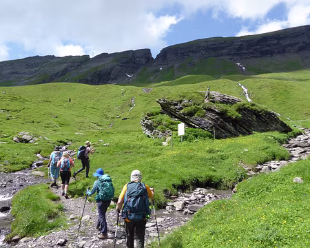 012 Ce chamois est statufié !