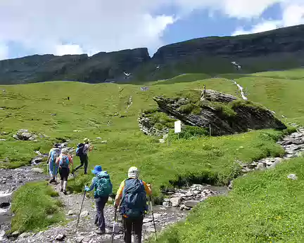 012 Ce chamois est statufié !